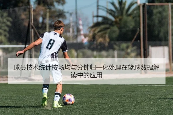 球员技术统计按场均与分钟归一化处理在篮球数据解读中的应用