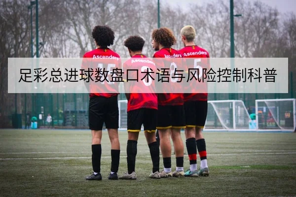 足彩总进球数盘口术语与风险控制科普
