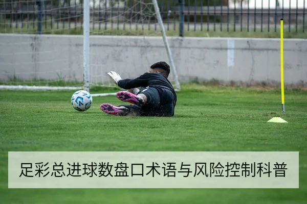 足彩总进球数盘口术语与风险控制科普